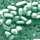 Image for article titled Everything you need to know about NASA's "completely new form of life"